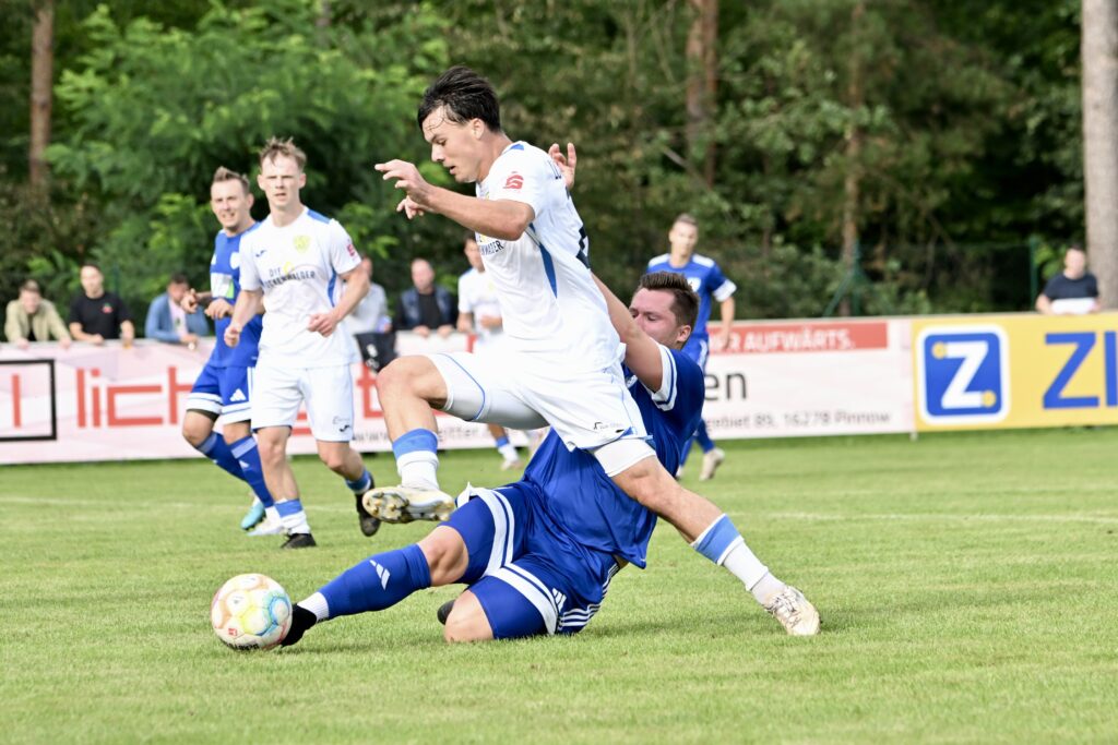 Neun Torschützen - Elf Tore 25 Neun Torschützen - Elf Tore 25