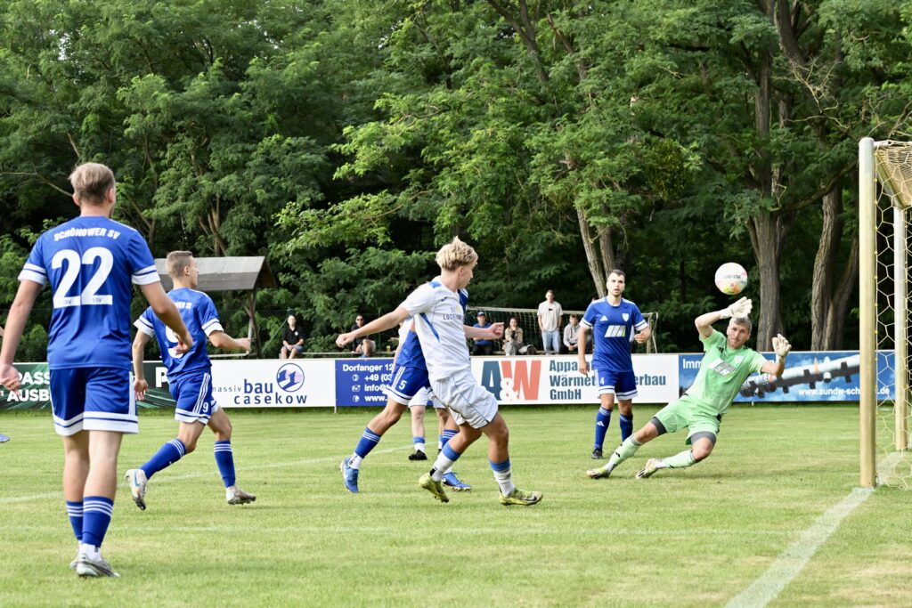 Neun Torschützen - Elf Tore 31 Neun Torschützen - Elf Tore 31