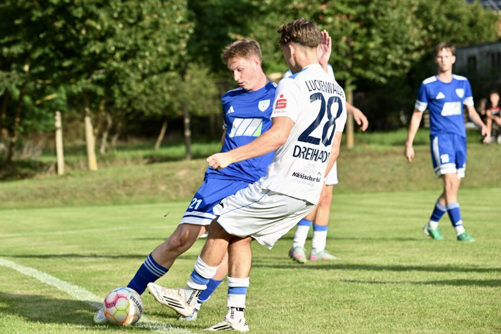 Neun Torschützen - Elf Tore 48 Neun Torschützen - Elf Tore 48