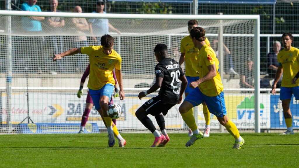 Der FSV punktet weiter für den Klassenerhalt 17 Der FSV punktet weiter für den Klassenerhalt 17