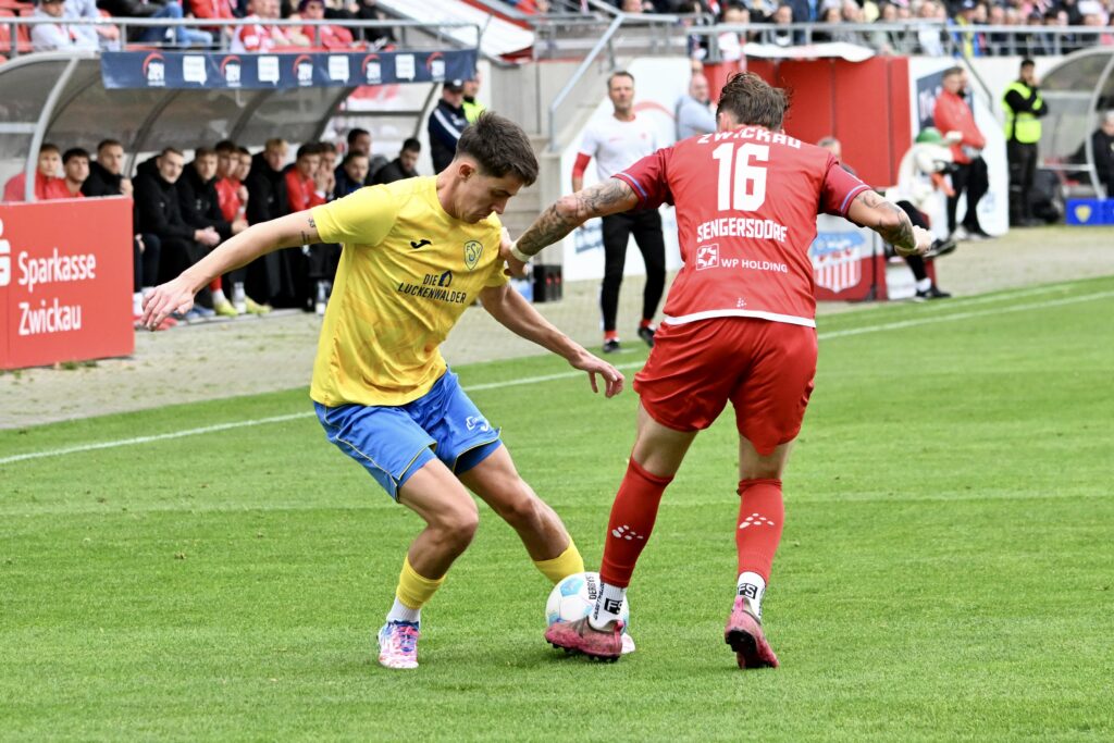 In Zwickau ist für den FSV 63 offensichtlich nichts zu holen 24