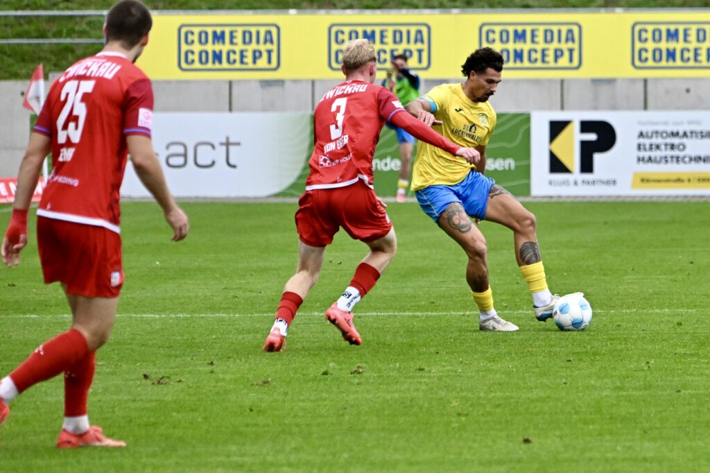 In Zwickau ist für den FSV 63 offensichtlich nichts zu holen 29