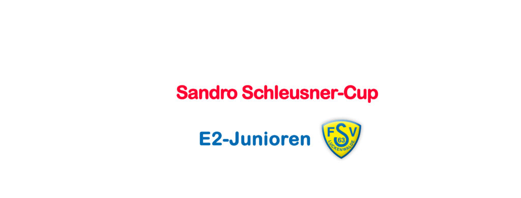 FSV Hallenturniere der Kleinfeldmannschaften 3