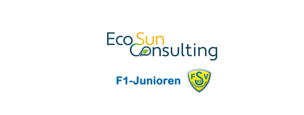 FSV Hallenturniere der Kleinfeldmannschaften 7