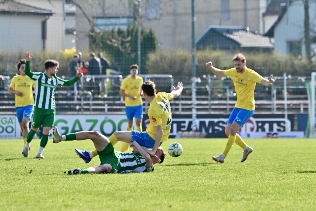 Enttäuschende FSV-Vorstellung in Leipzig-Leutzsch 18