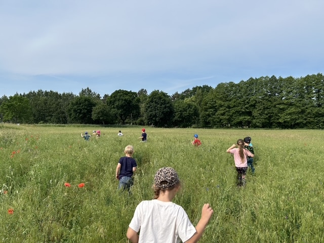 Abwechslung zum Sport 2