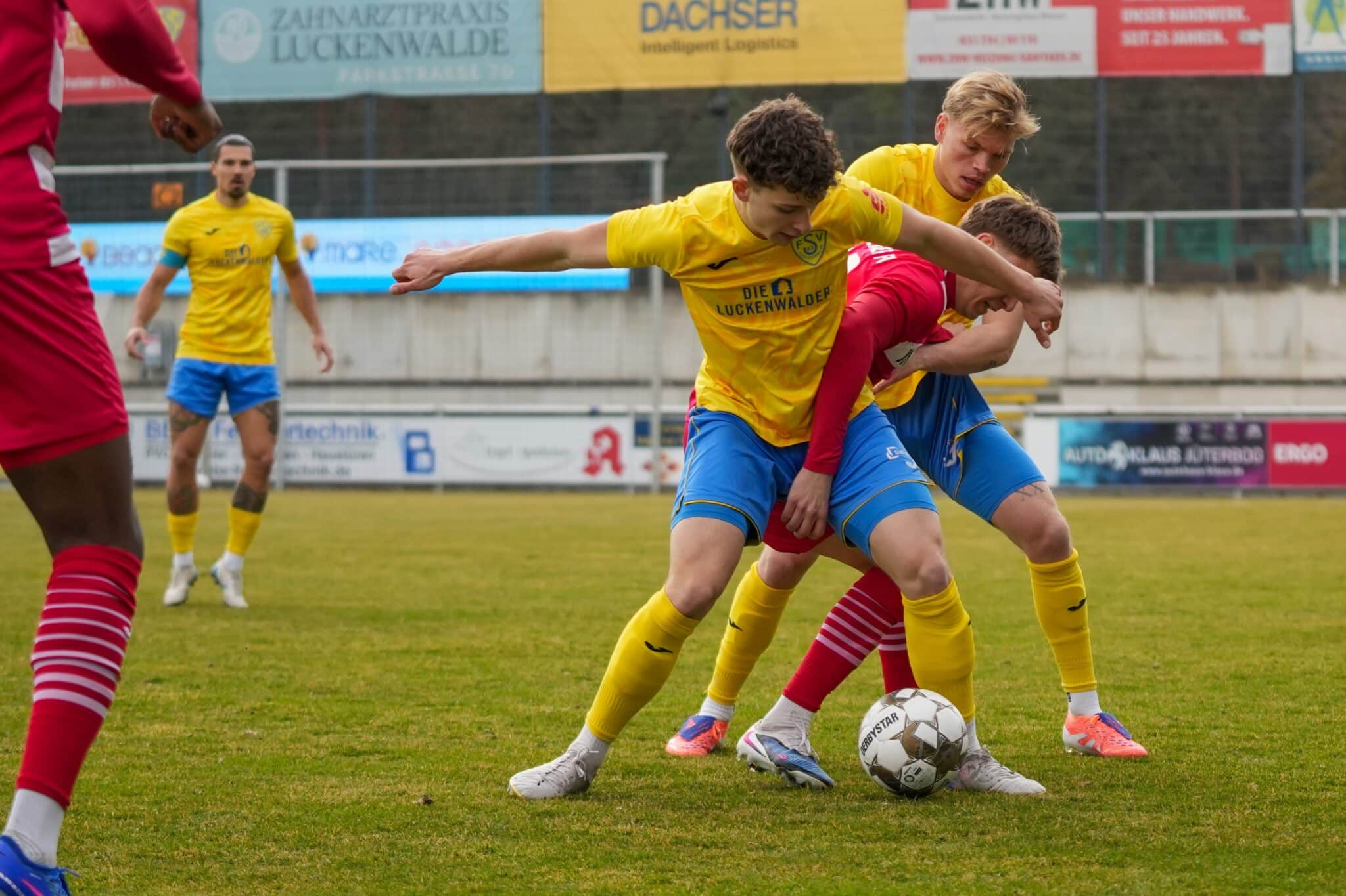 Tim Meyer wechselt zu Germania Halberstadt 7 Tim Meyer wechselt zu Germania Halberstadt 7