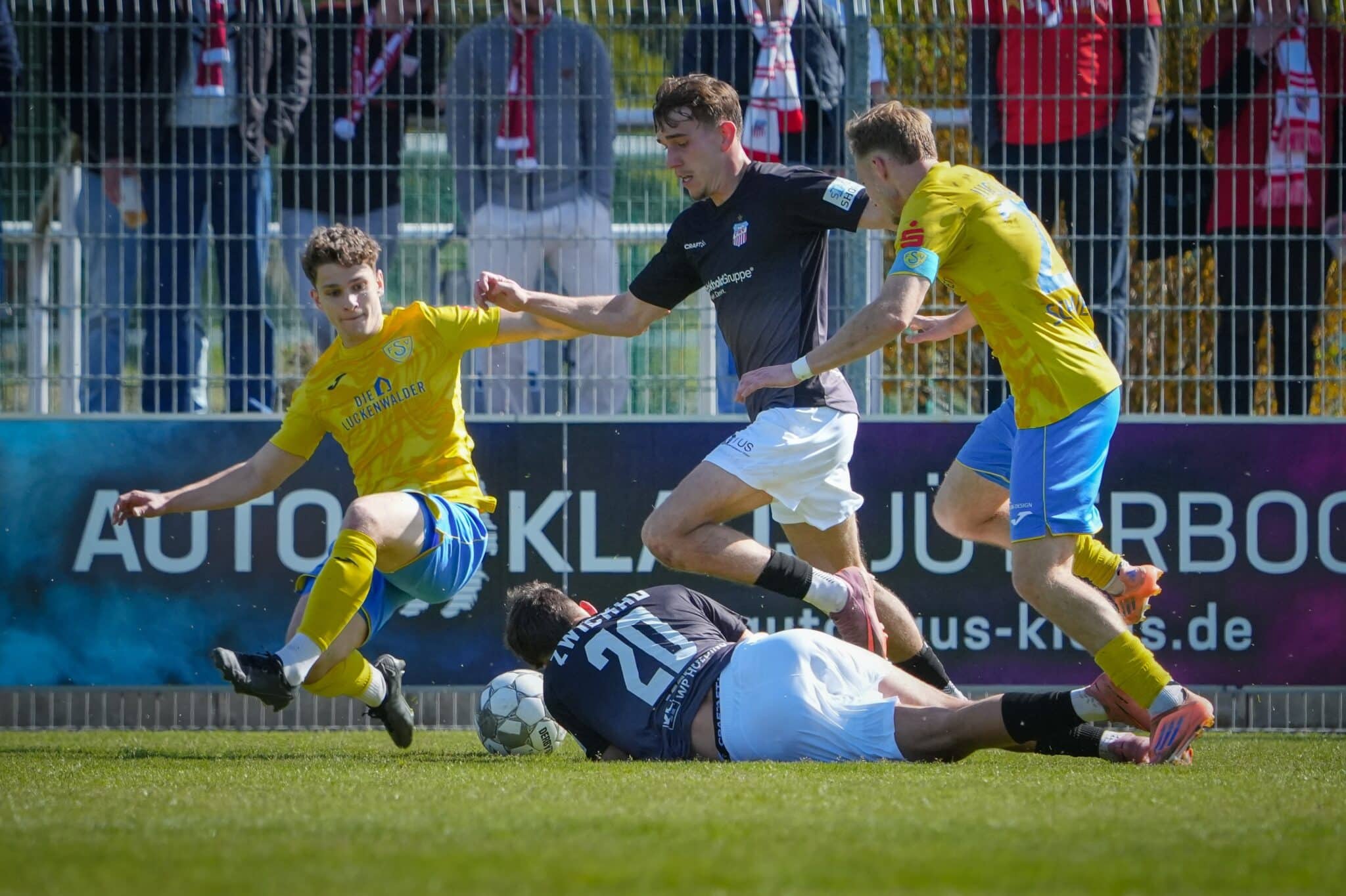 Tim Meyer wechselt zu Germania Halberstadt 8 Tim Meyer wechselt zu Germania Halberstadt 8