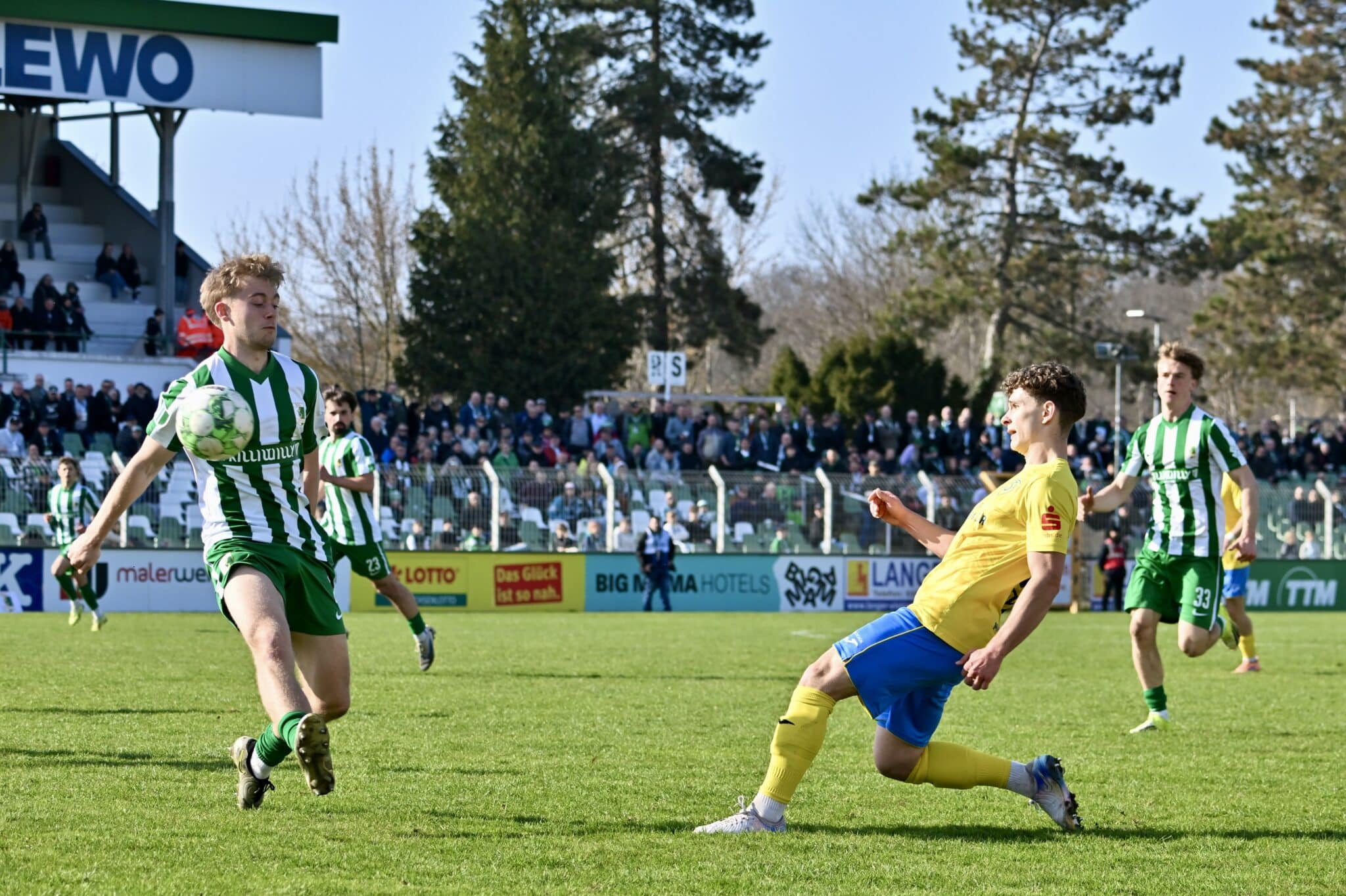 Tim Meyer wechselt zu Germania Halberstadt 5 Tim Meyer wechselt zu Germania Halberstadt 5