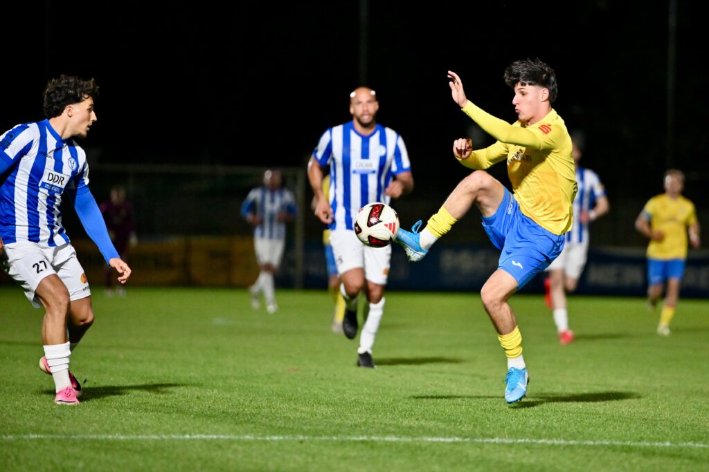 VSG Altglienicke effektiv – FSV fehlt ein Vollstrecker            37